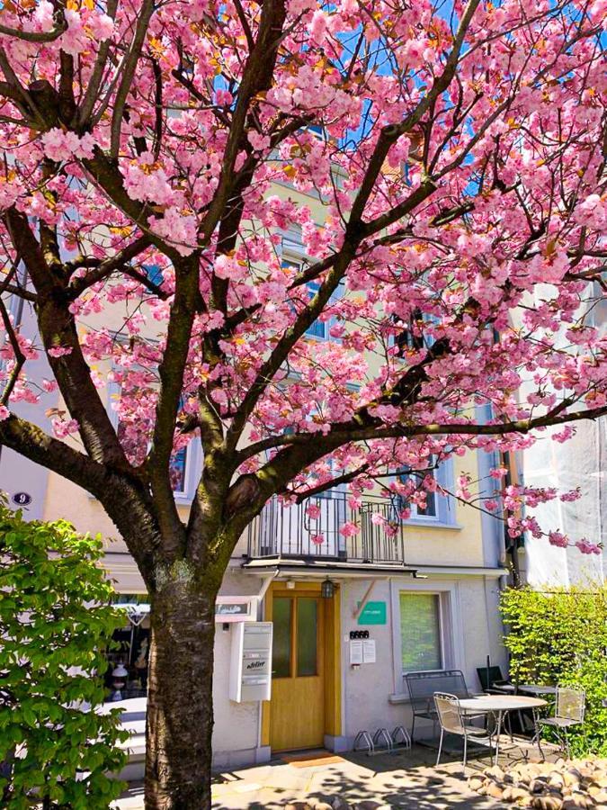 Gasthof Citylodge St Gallen - 2 Min To Marktplatz *