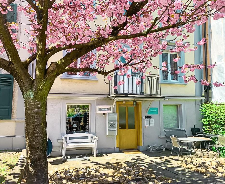 Citylodge St Gallen - 2 Min To Marktplatz * St. Gallen